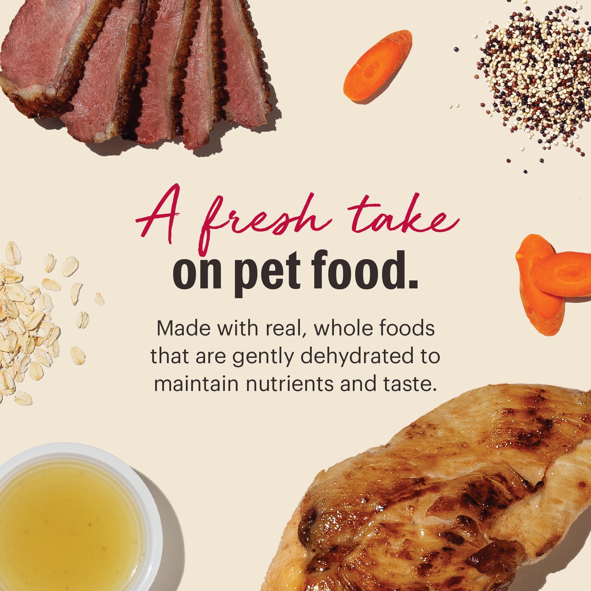 The Honest Kitchen served meal in bowl demonstrates complete, balanced nourishment