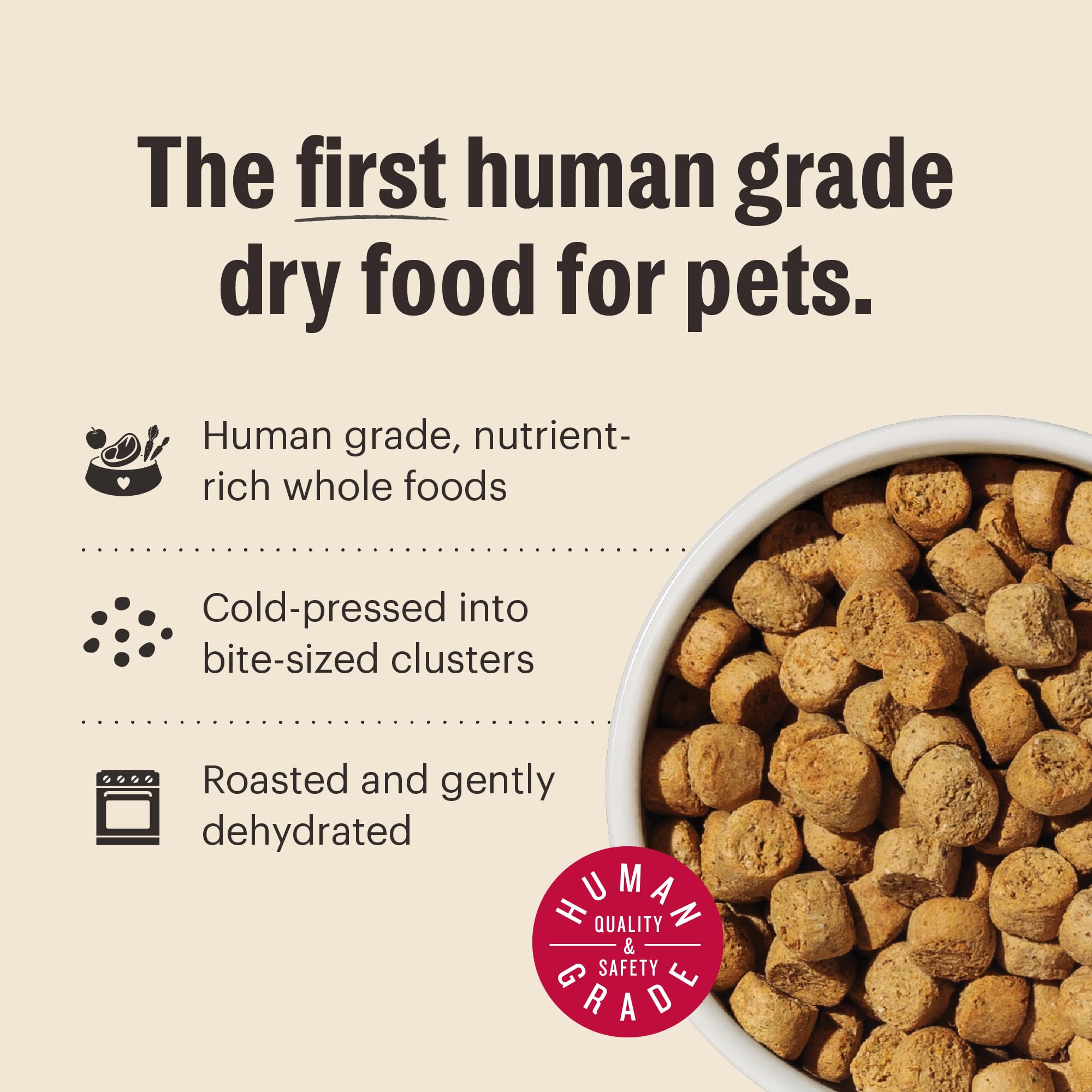 Serving bowl of The Honest Kitchen dog meal ready for feeding
