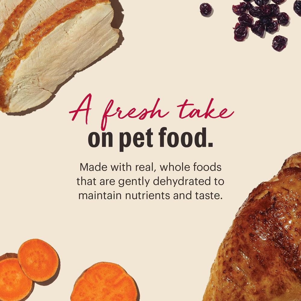 The Honest Kitchen USA-sourced ingredients image confirms trusted origins.