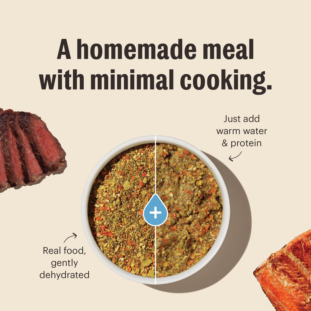 The Honest Kitchen Whole Grain Base Mix packaging shows human-grade ingredients.