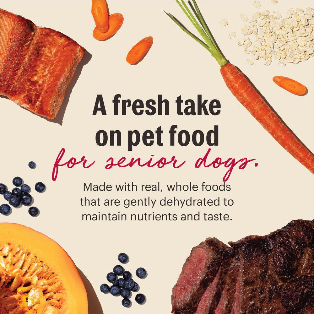 Serving bowl with rehydrated meal from The Honest Kitchen Wholemade Senior Food.