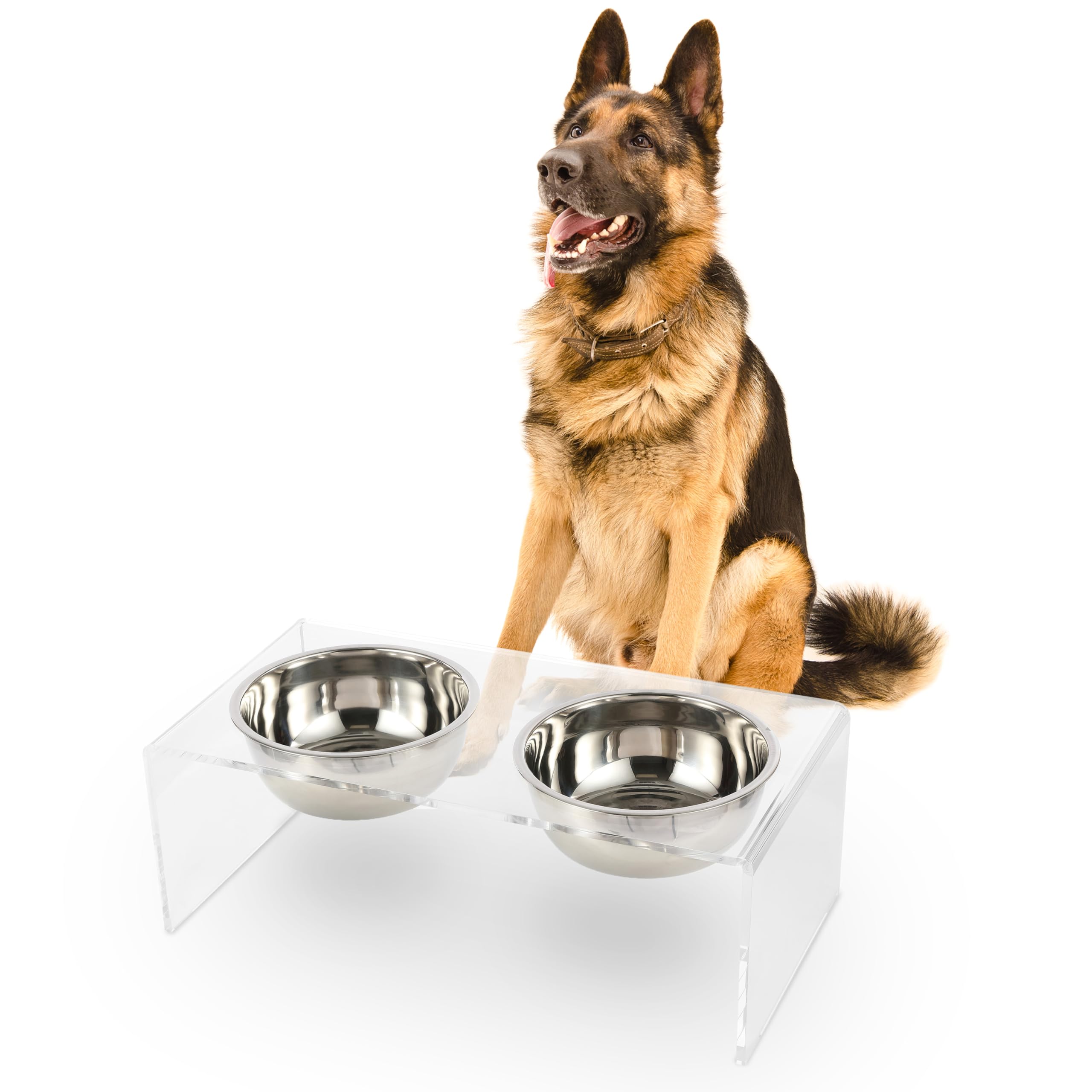 The Licker Store Keaton elevated feeder with clear acrylic frame for comfortable, elevated dining.