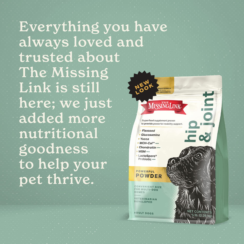 The Missing Link helps active dogs enjoy longer play sessions.