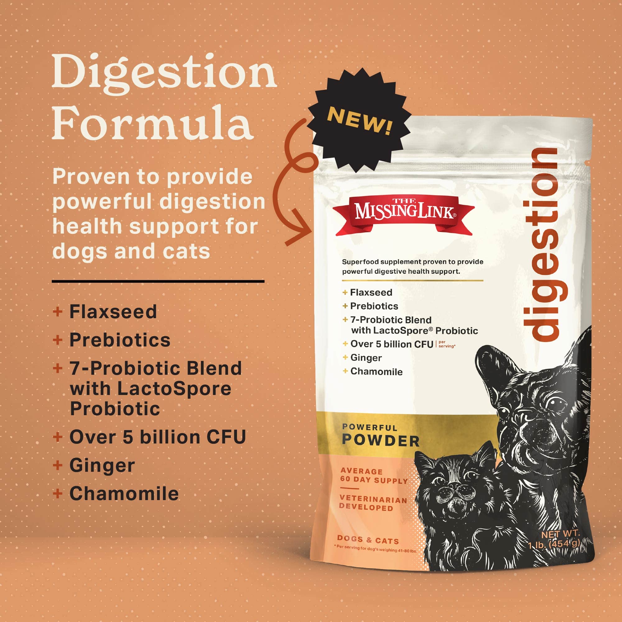 Close-up of chicory root ingredient used in The Missing Link powder