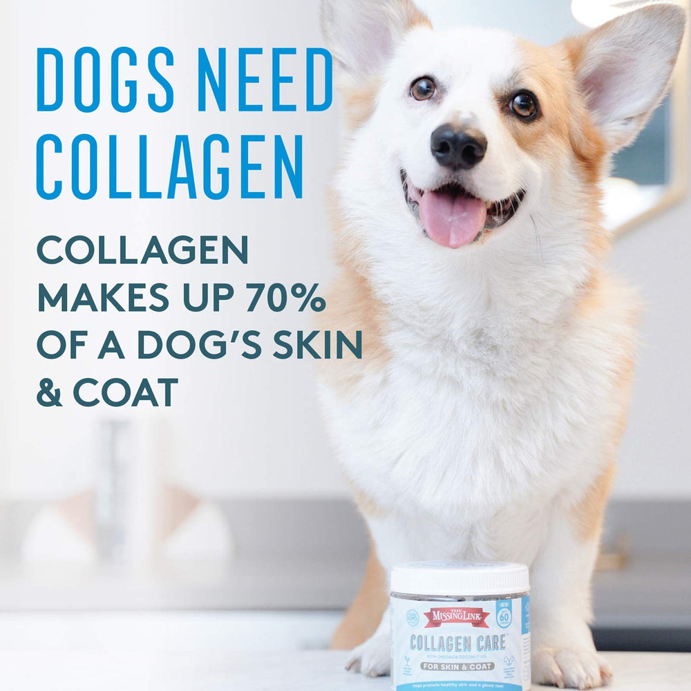 The Missing Link Collagen Care soft chews on plate emphasize easy daily use for dogs.