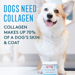 The Missing Link Collagen Care soft chews on plate emphasize easy daily use for dogs.