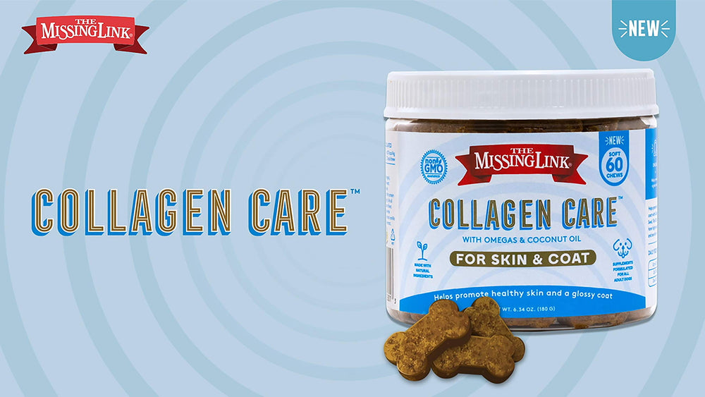 The Missing Link Collagen Care glossy coat effect on dog fur highlights potential shine.