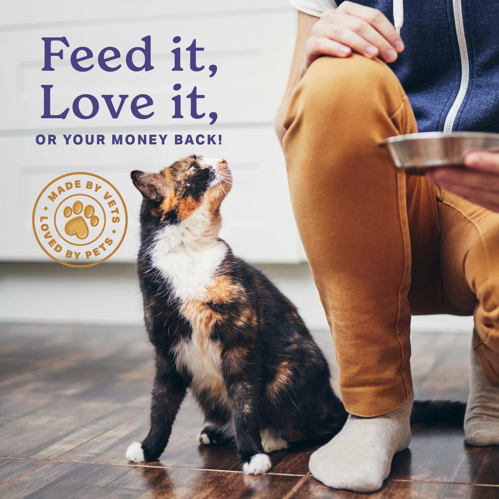 The Missing Link feline superfood ingredient list highlights yucca, kelp, and omegas