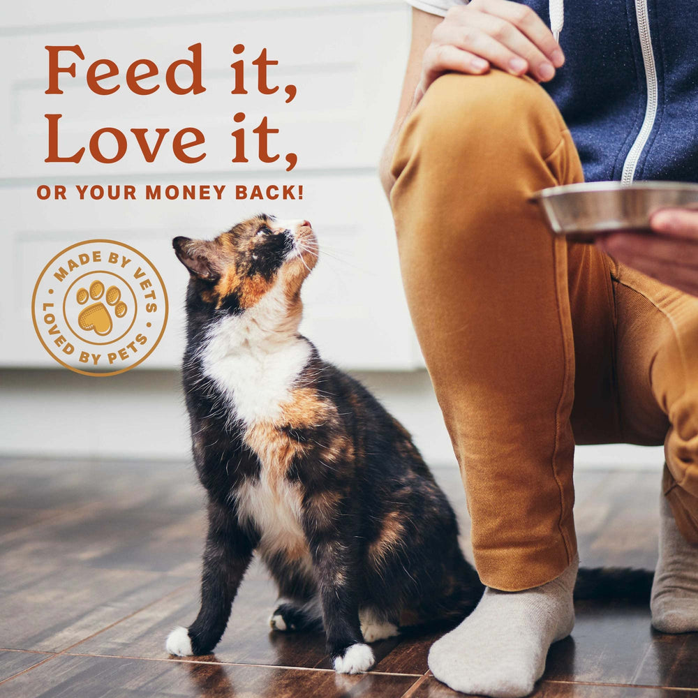 Ginger and chamomile blend visual highlighting soothing botanical notes for pets