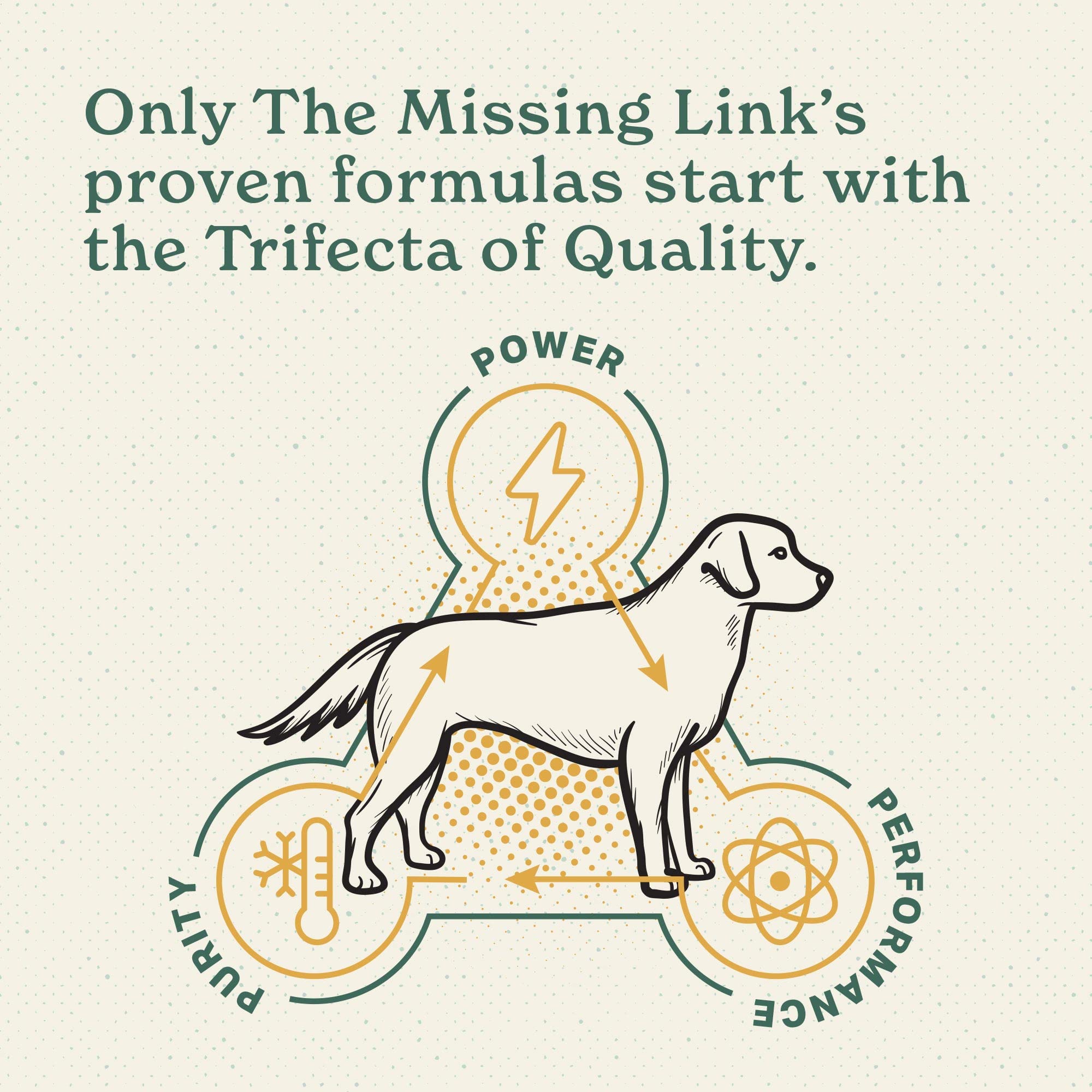 The Missing Link product with LactoSpore probiotics aids absorption.