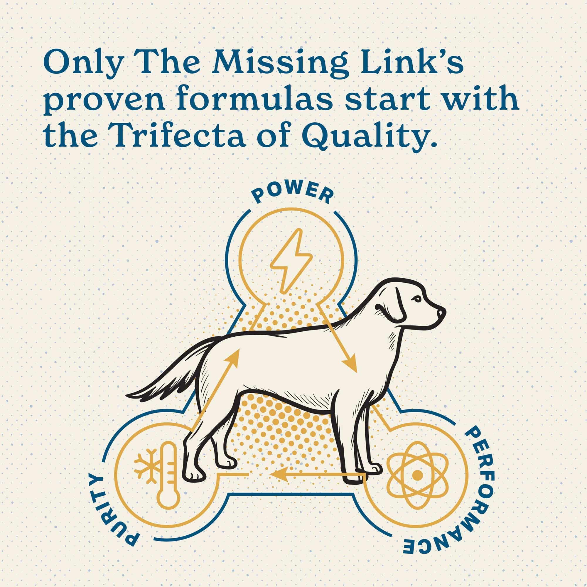 The Missing Link skin-coat image emphasizes healthy coat shine.