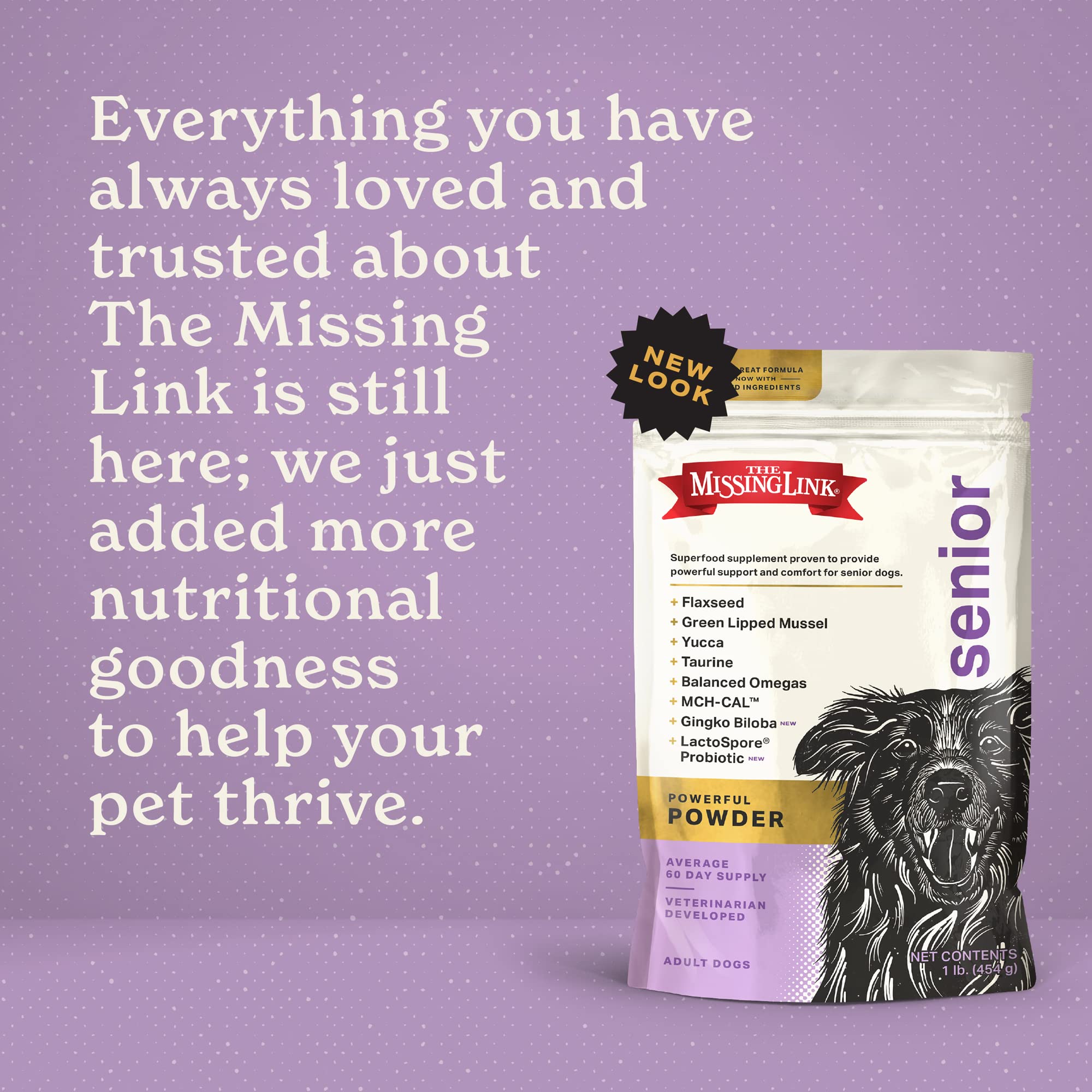 The Missing Link Senior Dog Supplement dog in active pose hints at sustained energy