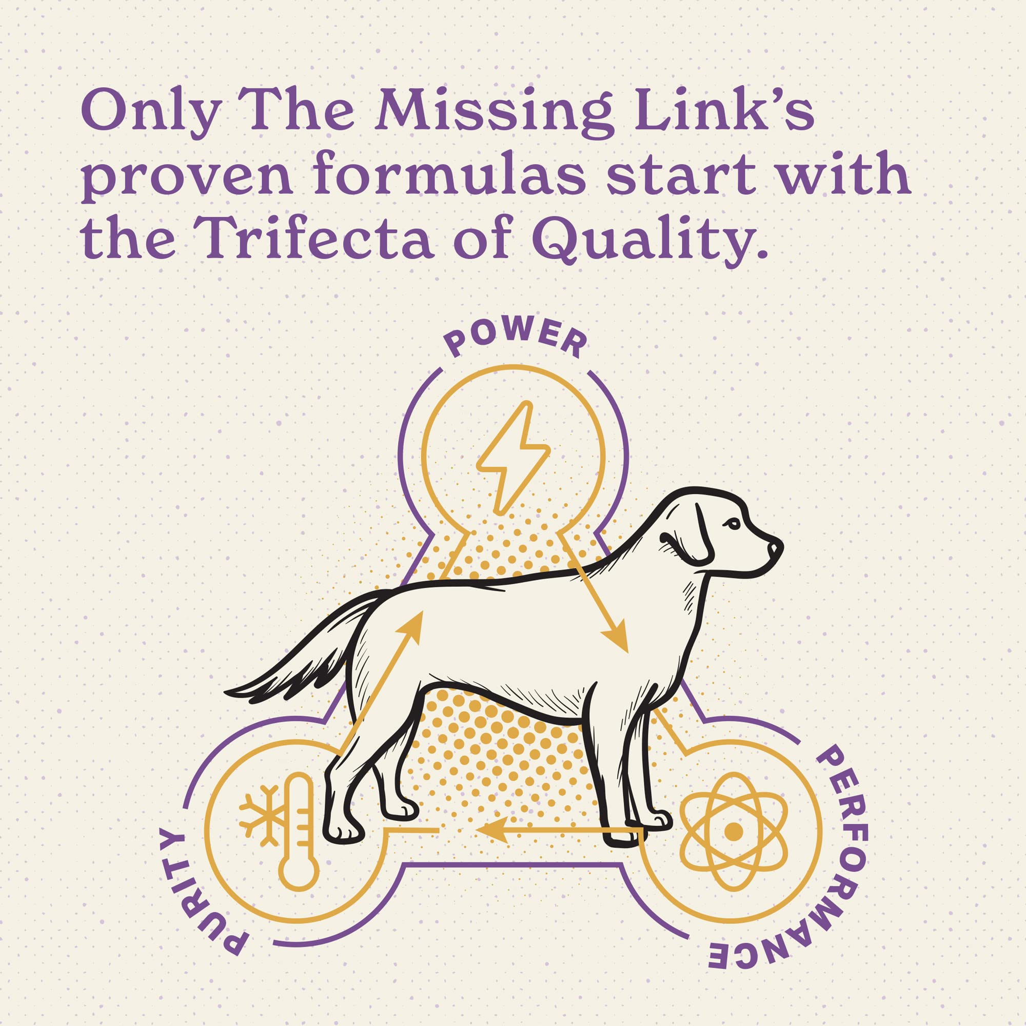 The Missing Link Senior Dog Supplement joint support visual implying joint comfort for aging dogs