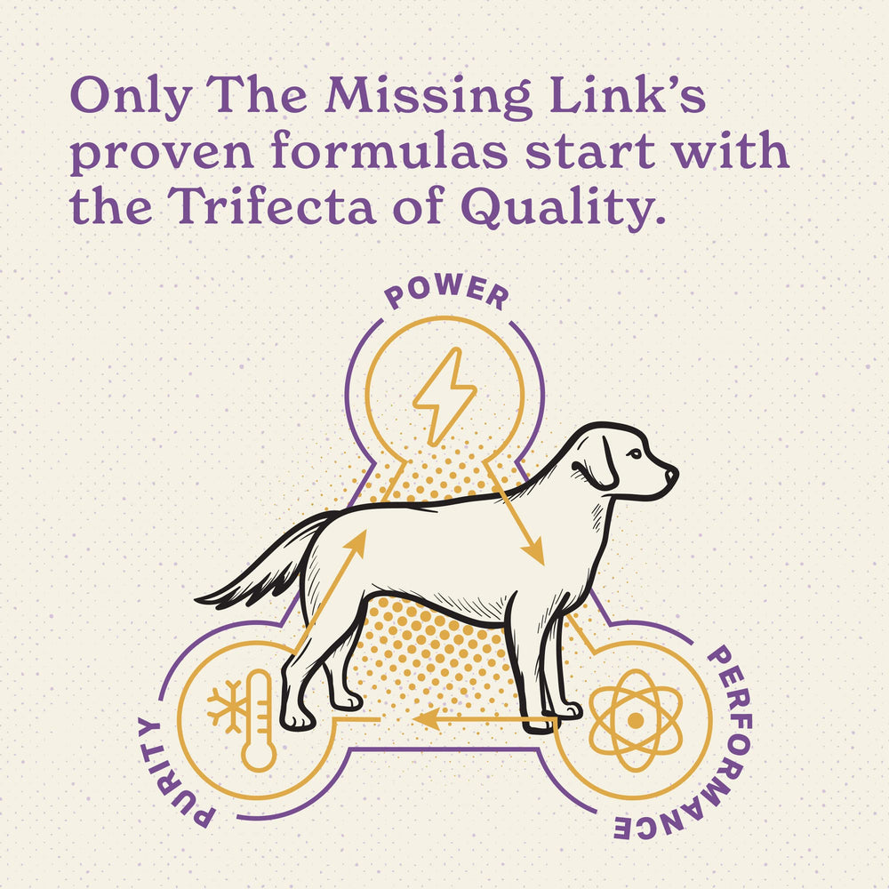 The Missing Link Senior Dog Supplement joint support visual implying joint comfort for aging dogs
