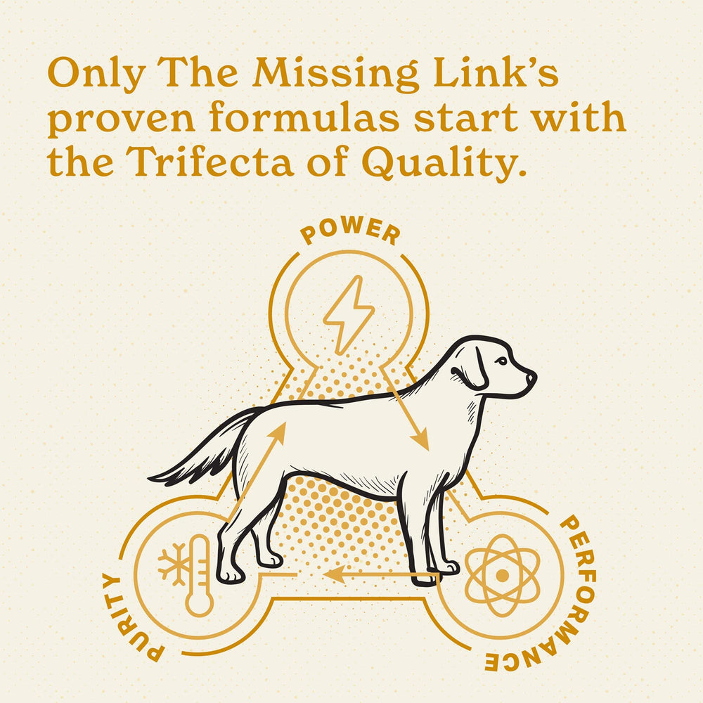 Probiotic powder ready to mix into daily dog meals.