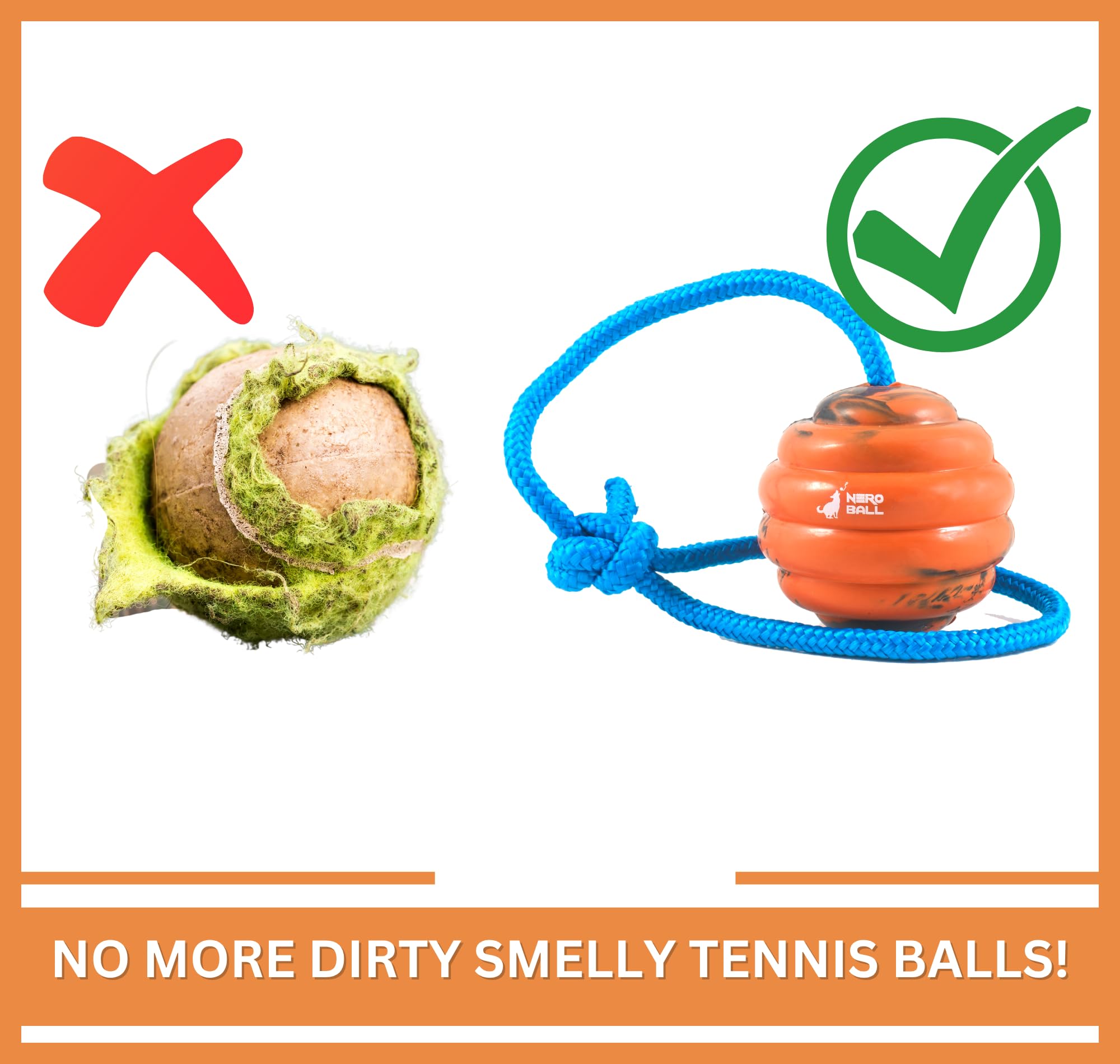 Nero Ball Pro bonding and reward tool encourages training consistency.