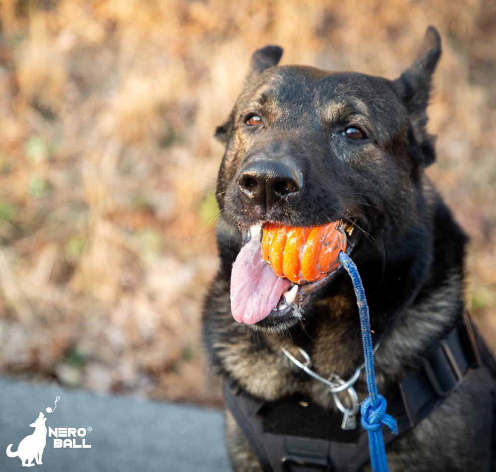 Nero Ball Pro family-owned brand supporting police and military K-9s.