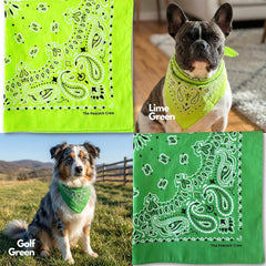 The Peacock Crew navy blue bandana adds casual polish to daily ensembles