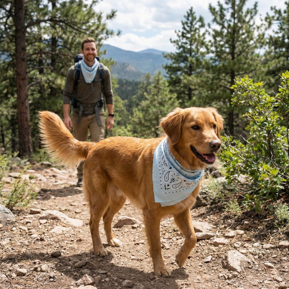 The Peacock Crew bandana styled as a head scarf, neck wrap, or pet accessory.