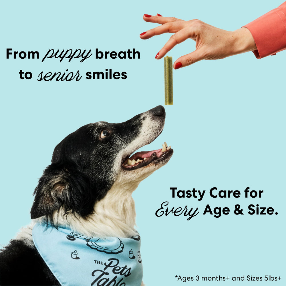 The Pets Table breath-fresh logo badge on front of packaging