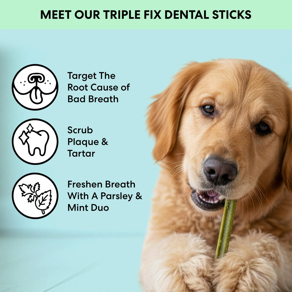 The Pets Table dental sticks ingredients close-up with chicken mint parsley