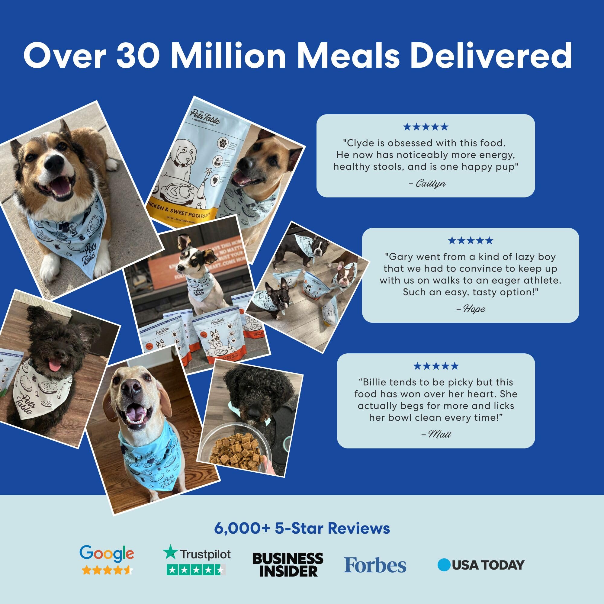 The Pets Table nutrition supports dogs across life stages for vitality.