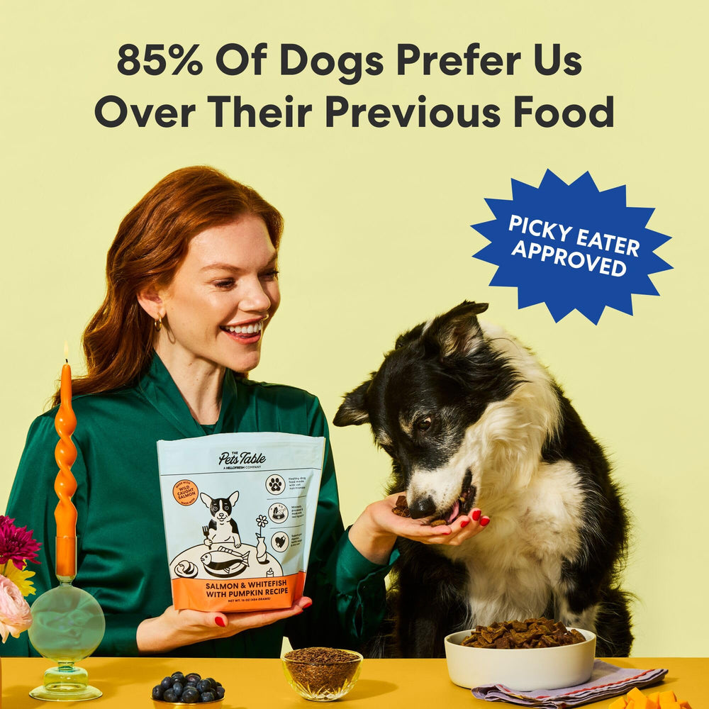 Front packaging of The Pets Table 1 lb air-dried dog food