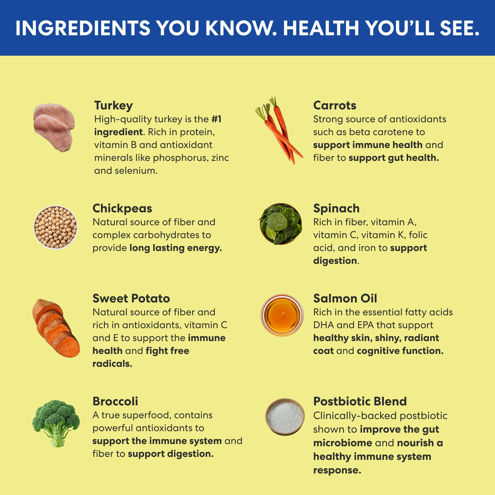 The Pets Table turkey casserole ingredients feature broccoli, chickpeas, and carrots.