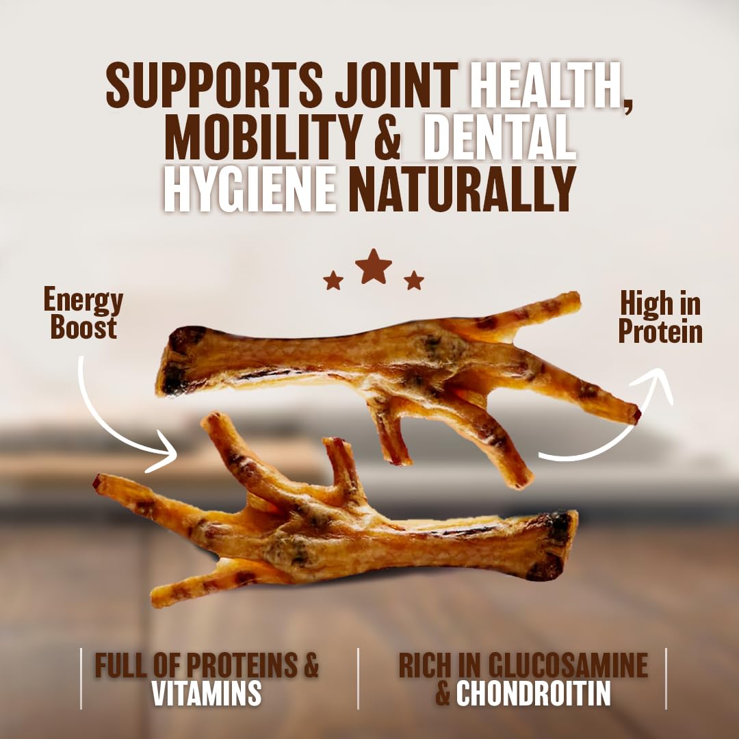 The Primal Theory chicken feet dental chew closeup, showing natural texture.