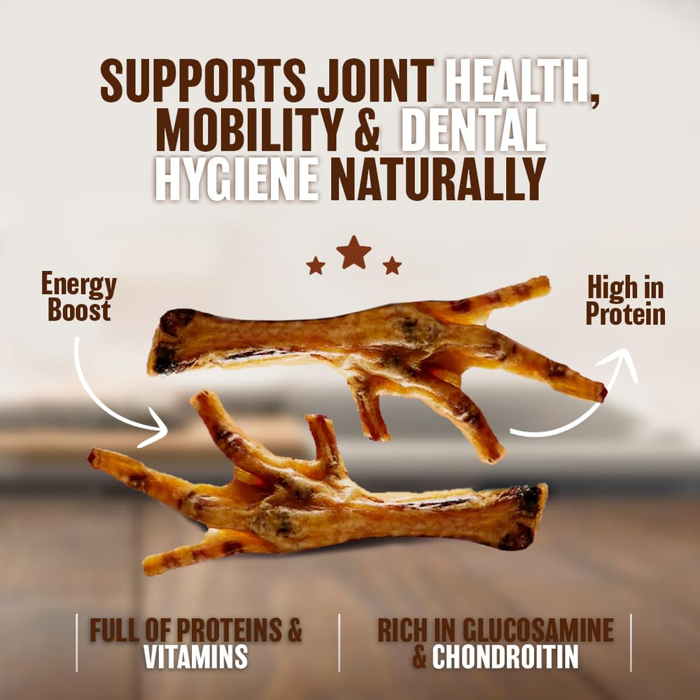 The Primal Theory chicken feet dental chew closeup, showing natural texture.