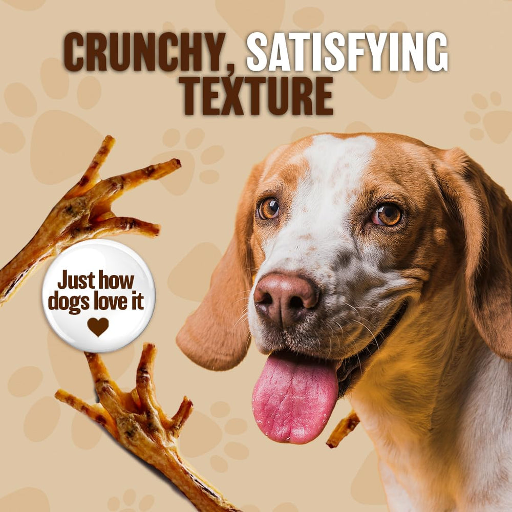 The Primal Theory crunchy chicken feet chew, perfect for playful dogs.