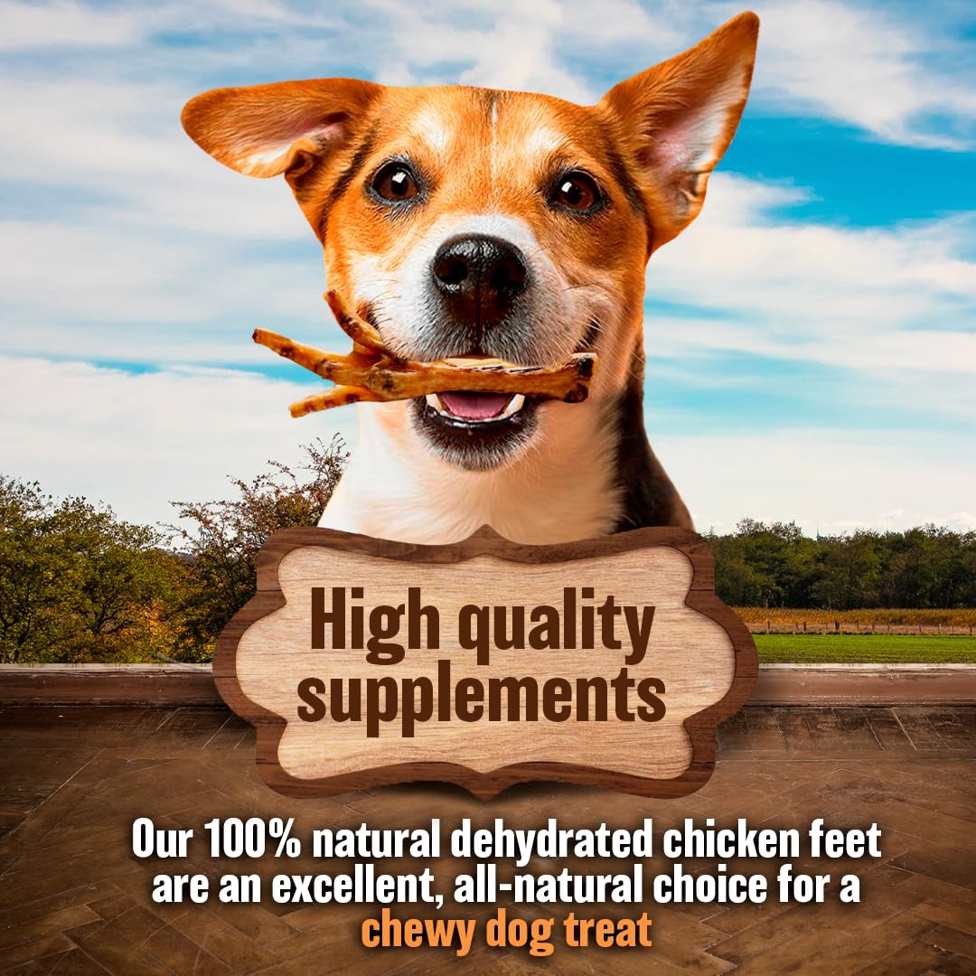 The Primal Theory glucosamine chondroitin dog chews image, joint support potential.
