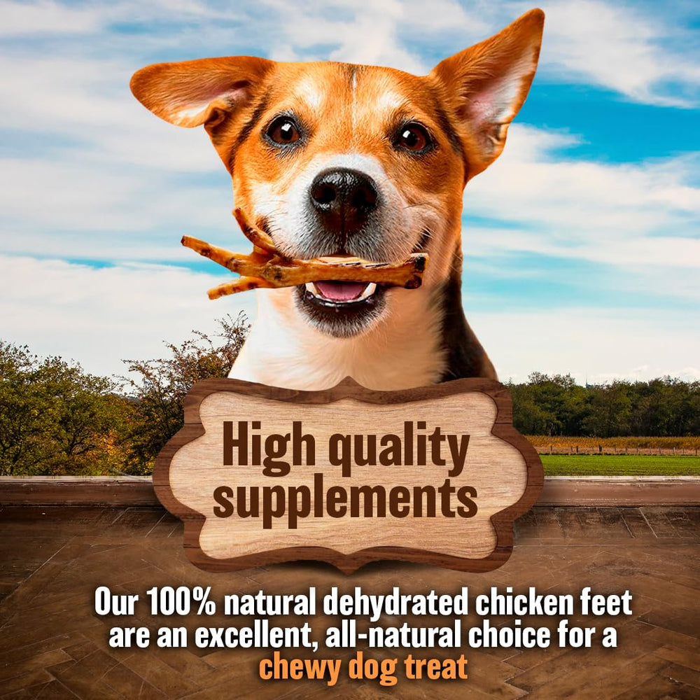 The Primal Theory glucosamine chondroitin dog chews image, joint support potential.