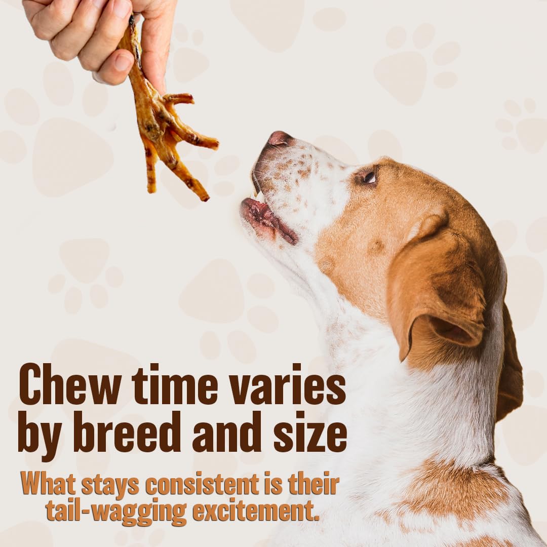 The Primal Theory natural dried feet for dogs, tasty and simple.