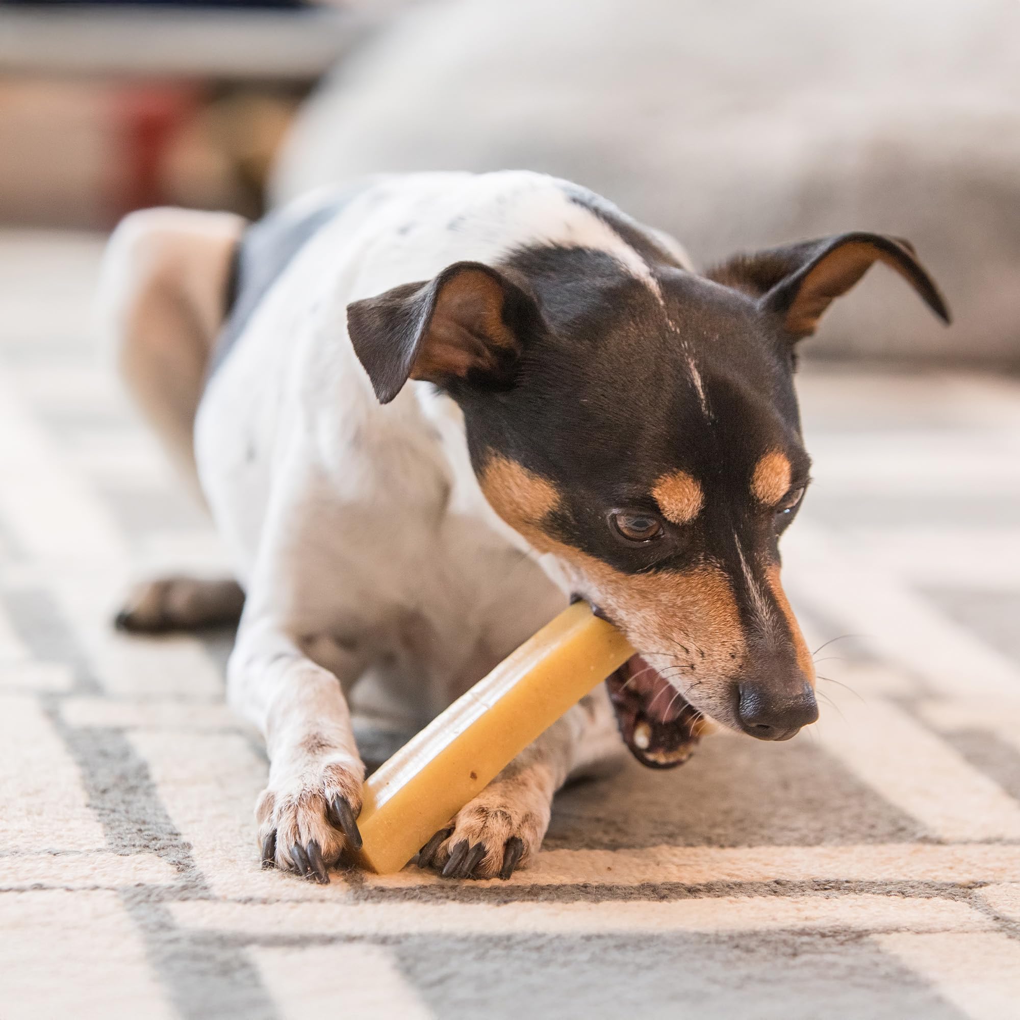 The Safe Dog Chew Company calcium-amino-acids support healthy bones and muscles