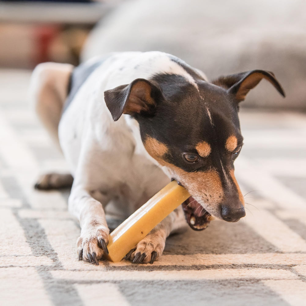 The Safe Dog Chew Company calcium-amino-acids support healthy bones and muscles