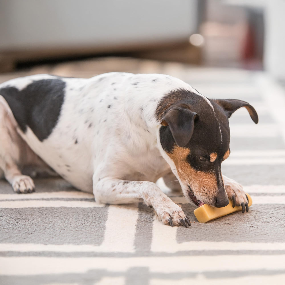 The Safe Dog Chew Company eight-stick pack on display.