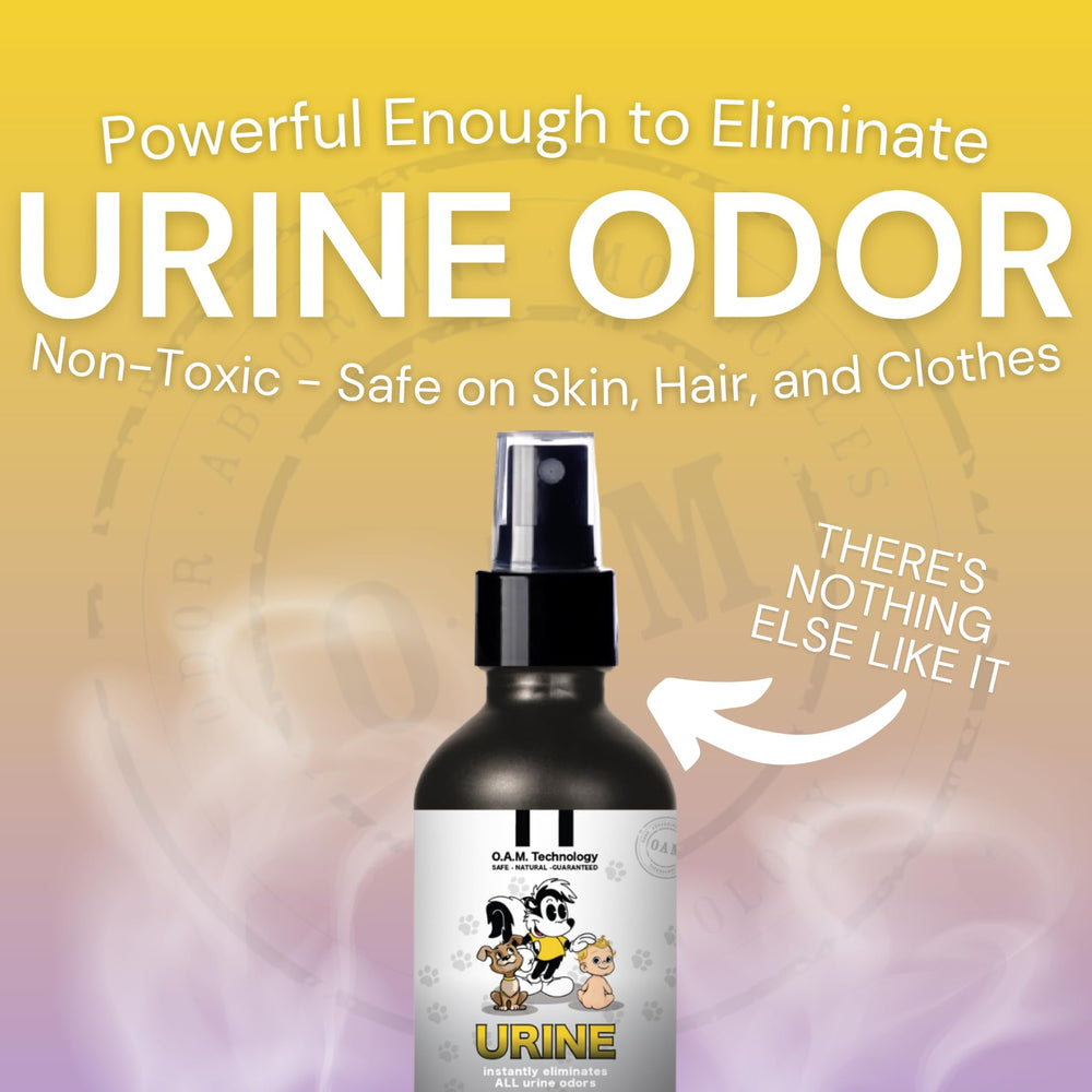 Hardwood floor area treated with The Stink Solution to reduce odors.