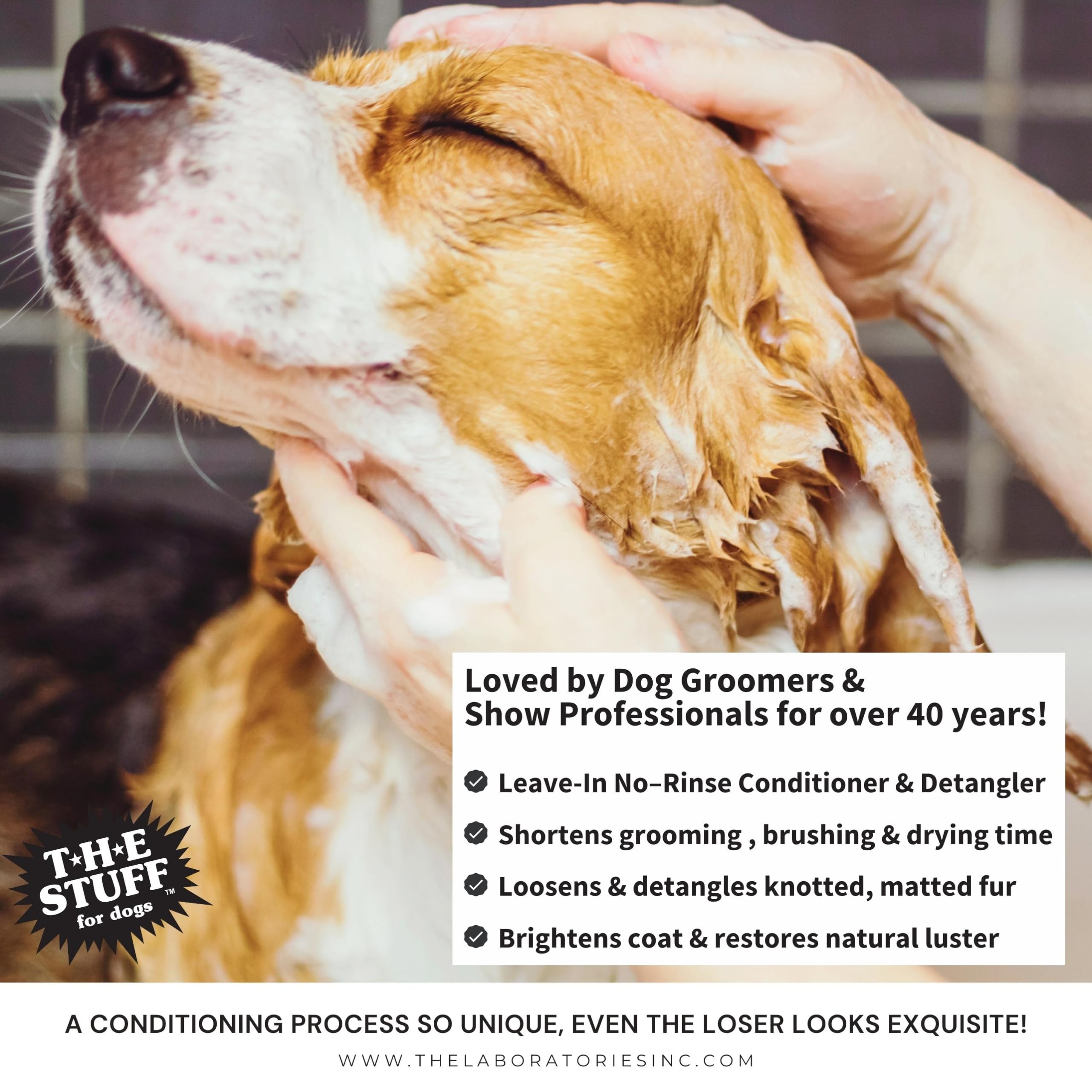 The Stuff grooming setup demonstrates quick spritzing and brushing for dogs.