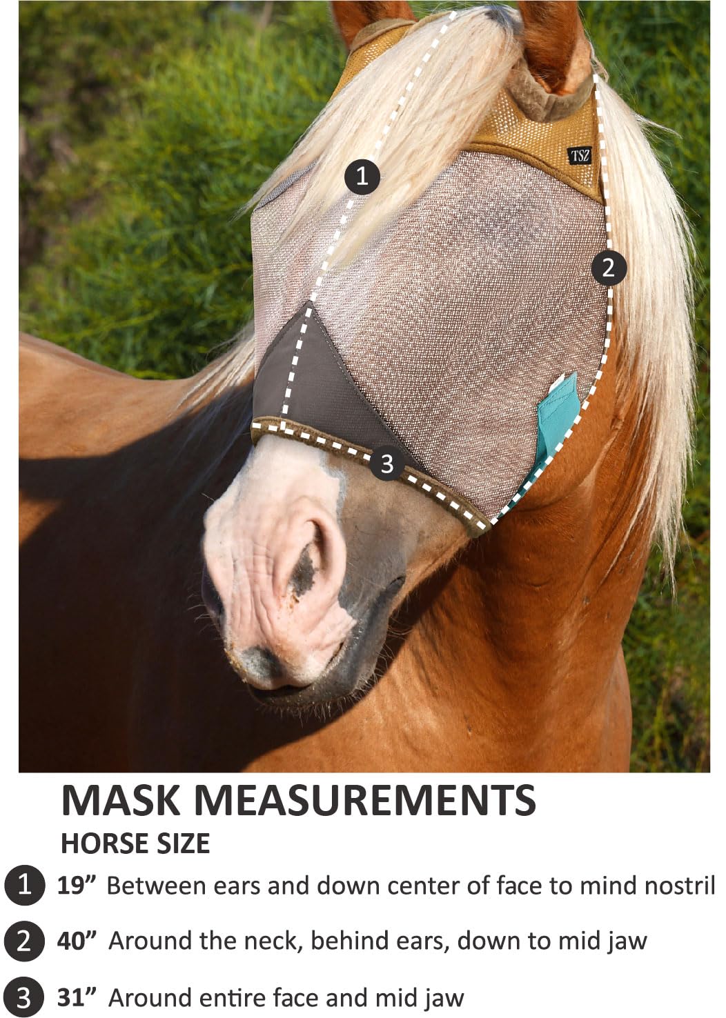 The Sunny Zebra breathable face shield keeps horses cooler during outdoor activities.