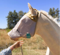 The Sunny Zebra horse fly mask covers the face for all-day comfort.