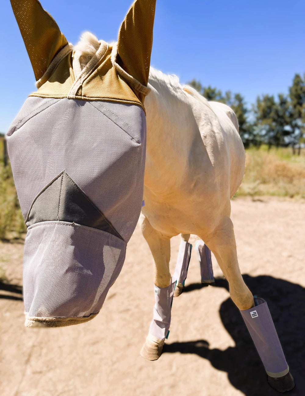 The Sunny Zebra plastic-free packaging signals eco-friendly protection for your gear.