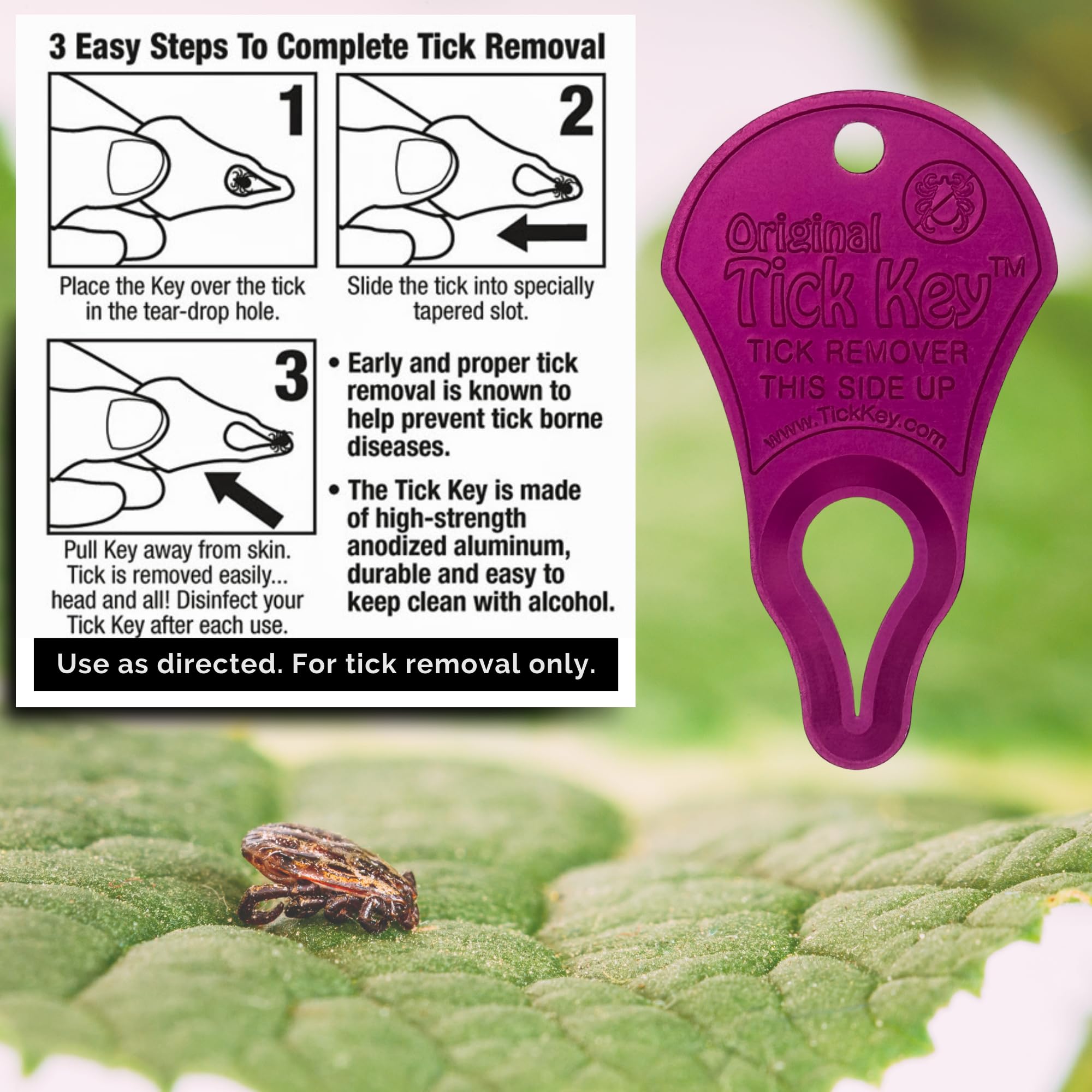 The Tick Key on a keychain, portable tick detachment anywhere