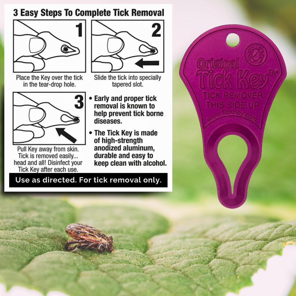 The Tick Key on a keychain, portable tick detachment anywhere