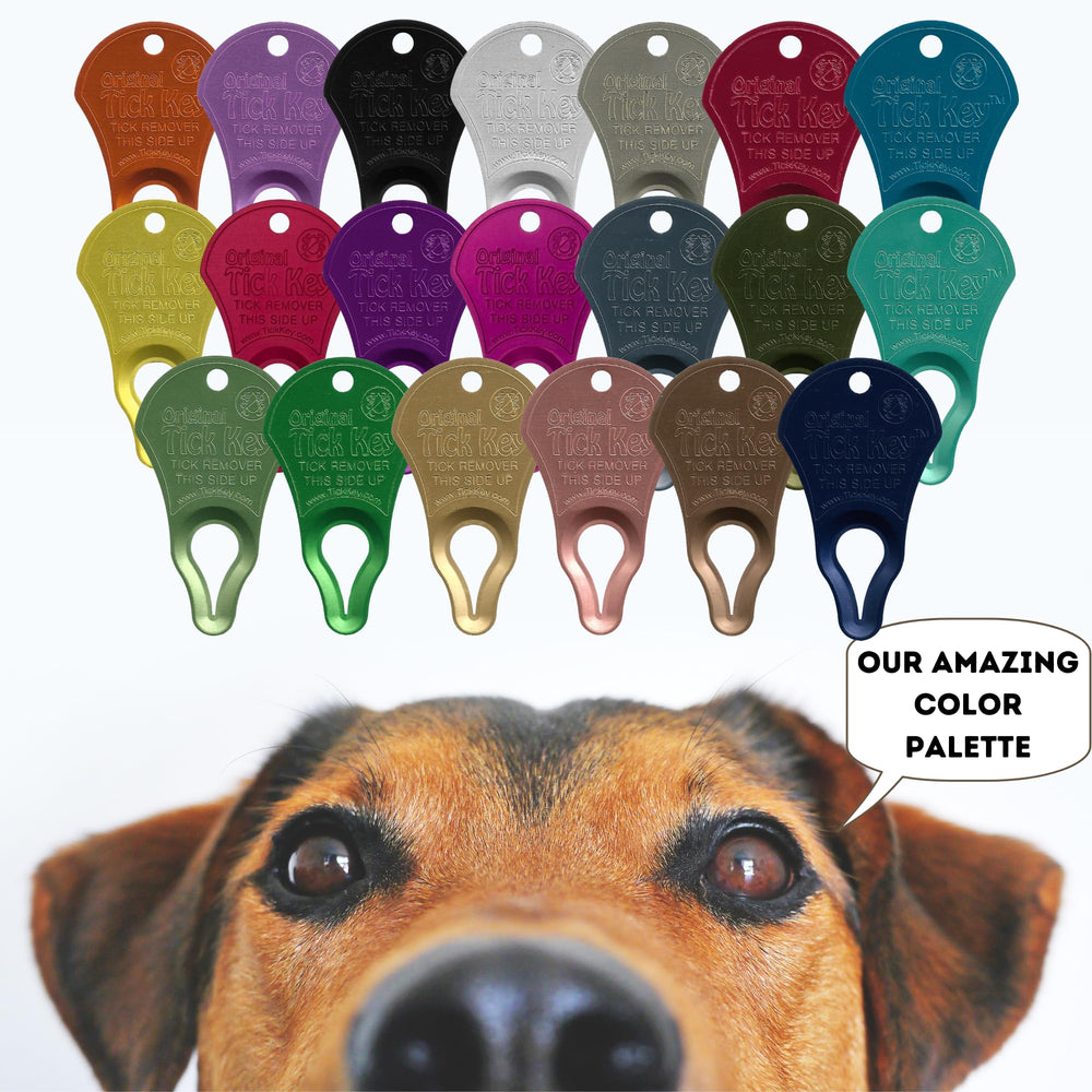 Removes ticks of all sizes without direct contact