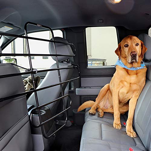 The ZooKeeper keeps pets secure without crates, reducing driver distractions.