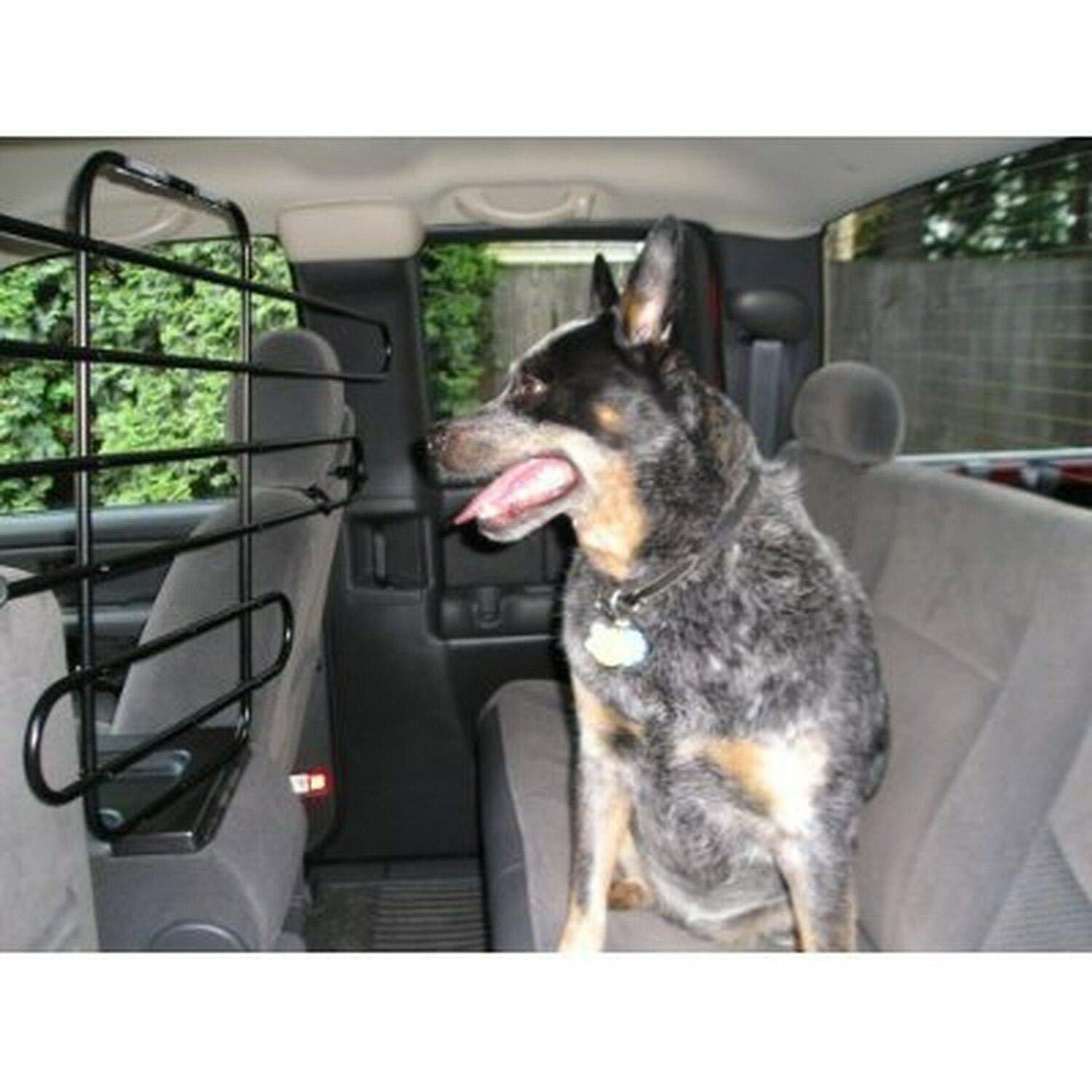 The ZooKeeper fits SUVs, cars, and trucks for flexible family travel.