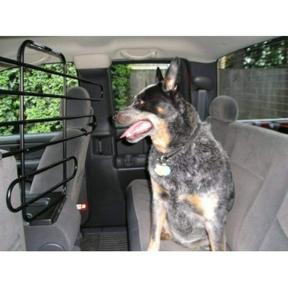 The ZooKeeper fits SUVs, cars, and trucks for flexible family travel.