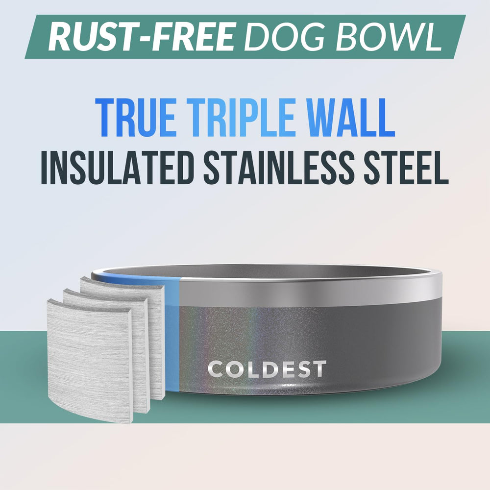 Anti-slip base keeps Colddog Bowl steady during feeding sessions.
