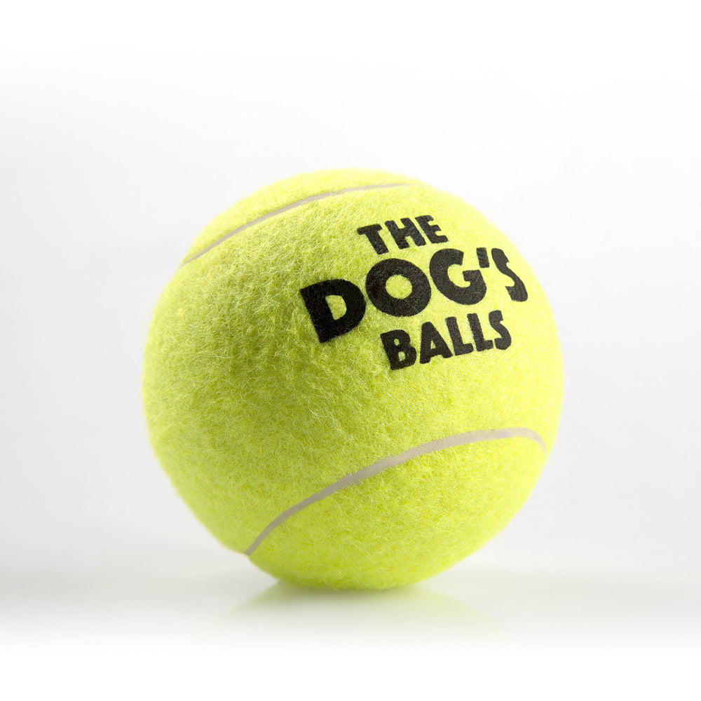 The Dog's Balls floats for water fetch and splashy play sessions.